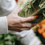 Department Stores - Crop unrecognizable buyer with fresh lettuce in hand standing near stall with greens and vegetables during grocery shopping in supermarket